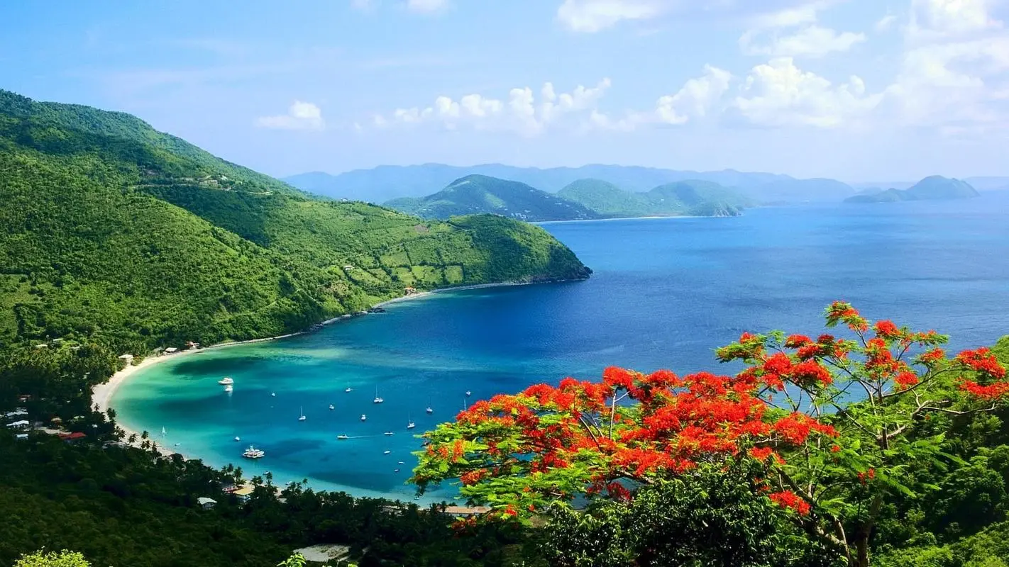 高标准高质量